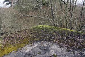 Ligne Maginot - ERNESTVILLER 2 - (Blockhaus de type indeterminé) -    