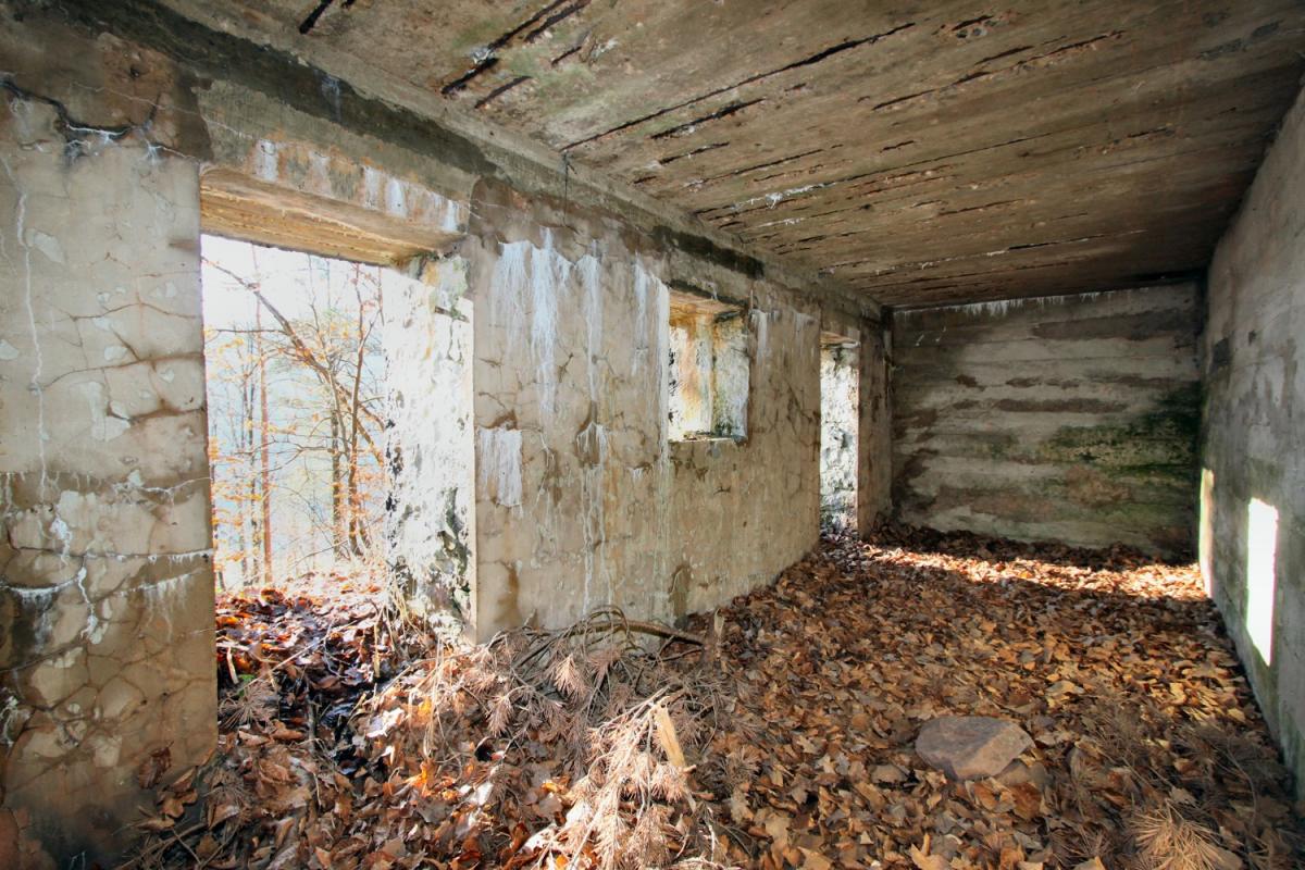 Ligne Maginot - PHILIPPSBOURG (154°RIF - 1/168°RAP) - (PC de Sous-Secteur) - Abri bétonné                