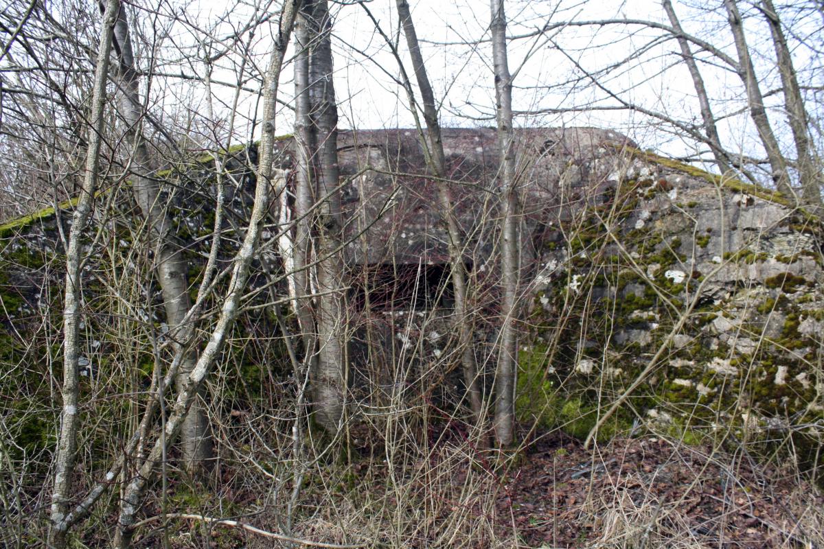 Ligne Maginot - ERNESTVILLER 2 - (Blockhaus de type indeterminé) -  