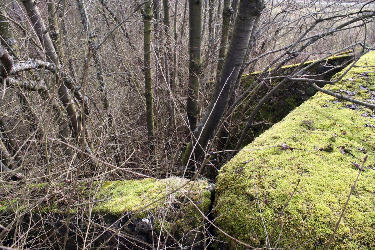 Ligne Maginot - ERNESTVILLER 2 - (Blockhaus de type indeterminé) -   