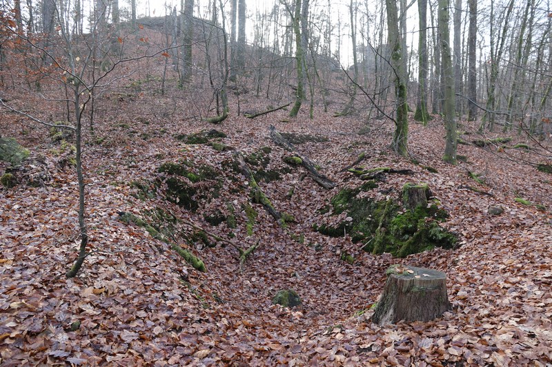 Ligne Maginot - PETIT STEINBERG  - (Cuve pour arme d'infanterie) - En contrebas du rocher, position d'arme