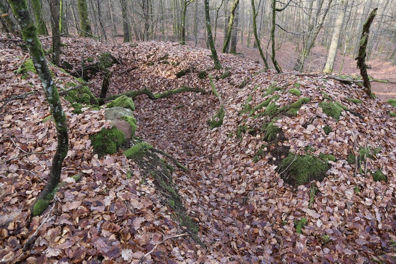 Ligne Maginot - PETIT STEINBERG  - (Cuve pour arme d'infanterie) - Relié par tranchée à l'autre position