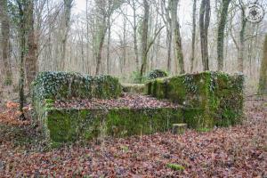 Ligne Maginot - DB377 - BOIS DE GRANDCHAMPS - (Blockhaus pour canon) - Vue de l'avant
Noter le créneau inachevé  
