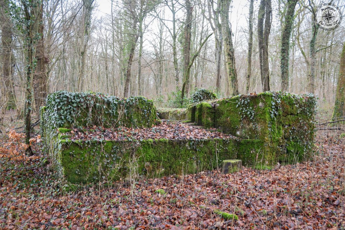 Ligne Maginot - DB377 - BOIS DE GRANDCHAMPS - (Blockhaus pour canon) - Vue de l'avant
Noter le créneau inachevé  