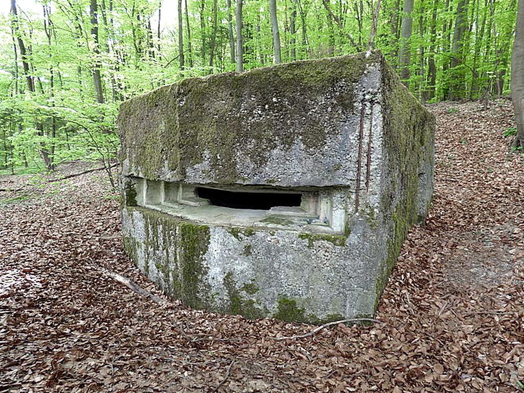 Ligne Maginot - MEISTERBUSCH 3 - (Observatoire d'infanterie) - Un observatoire dans la forêt