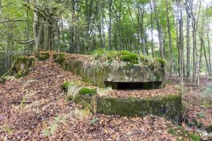 Ligne Maginot - ALLEE DU DEIESLACH 1 - (Blockhaus pour arme infanterie) - 