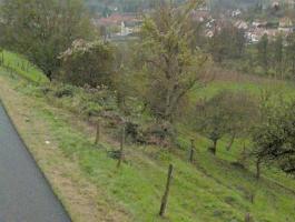 Ligne Maginot - ROUTE DE WISSEMBOURG - (Blockhaus pour canon) - 