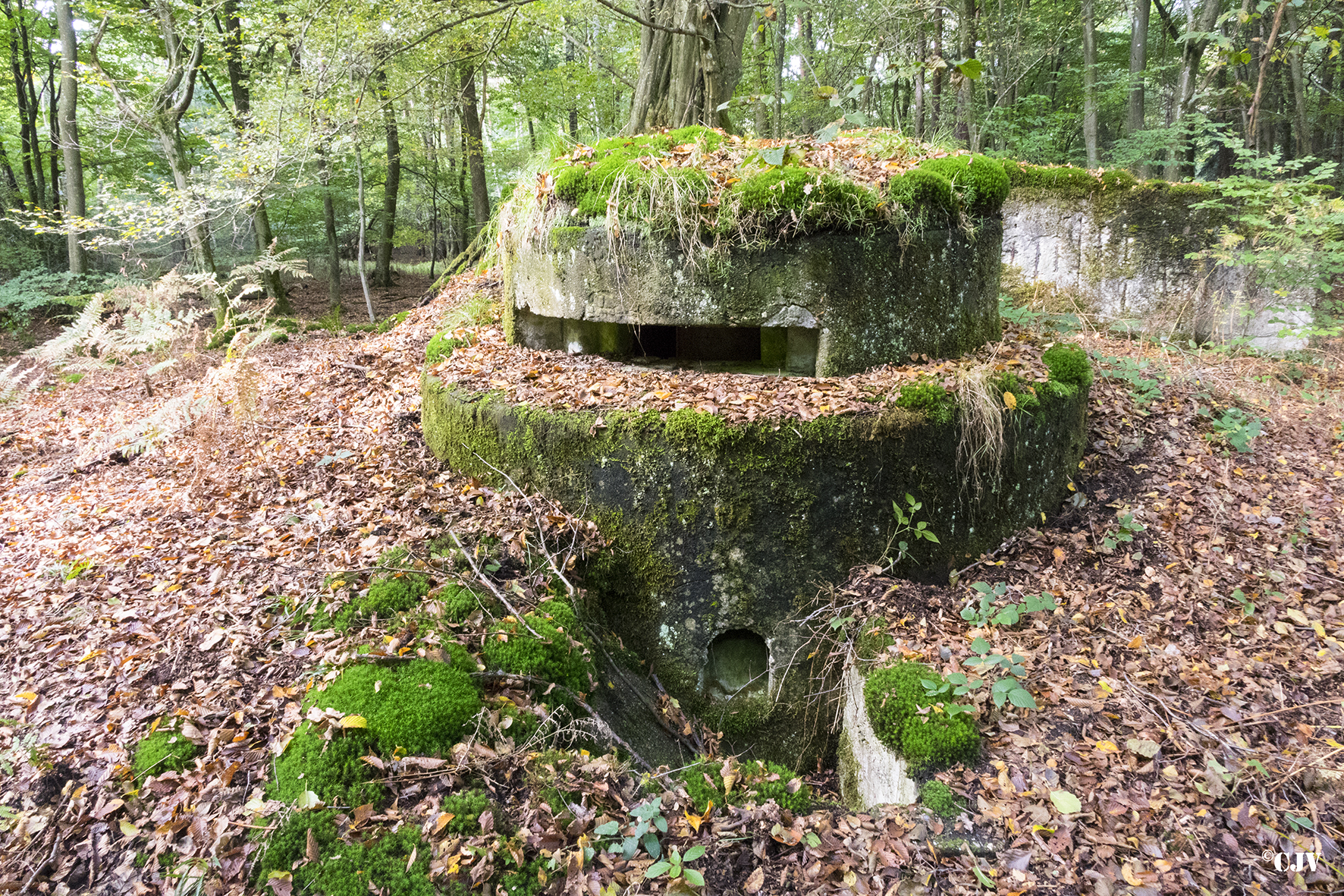 Ligne Maginot - ALLEE DU DEIESLACH 1 - (Blockhaus pour arme infanterie) - 