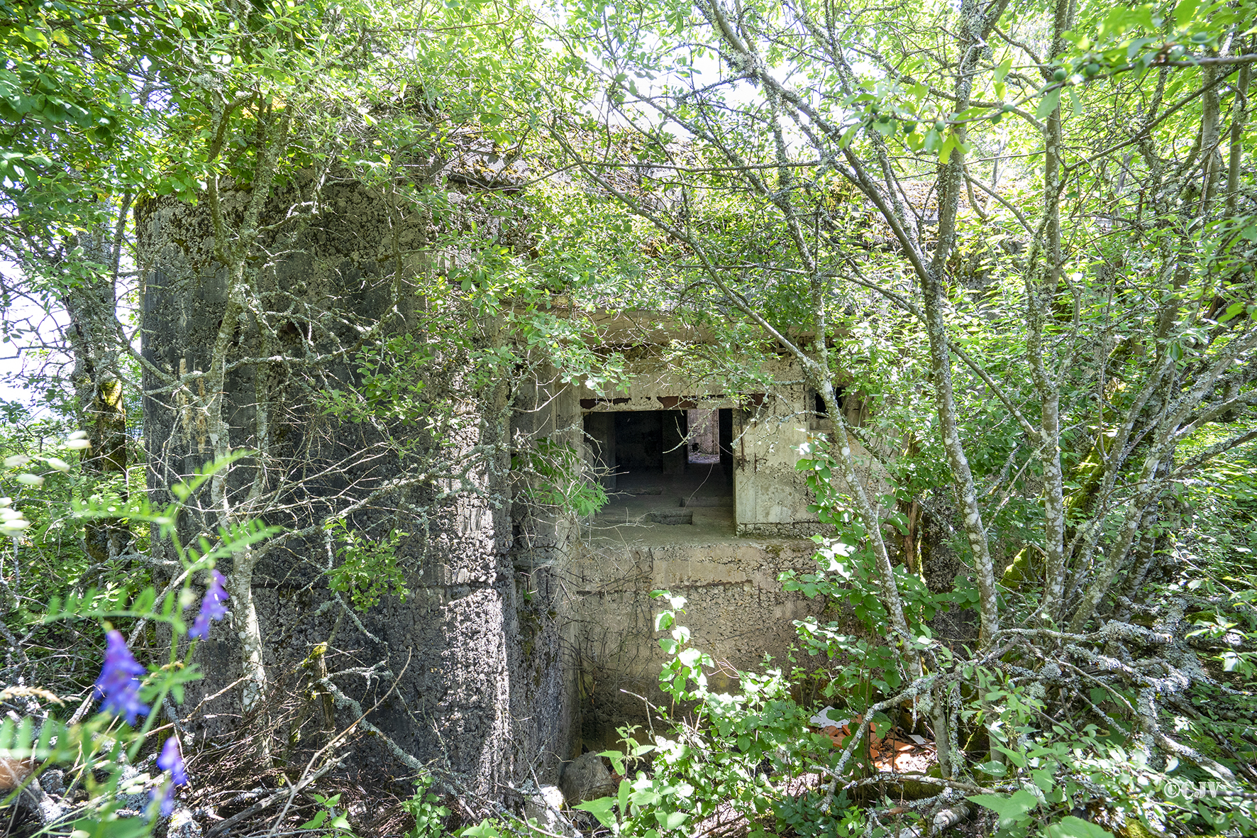 Ligne Maginot - B42 - REMORAY OUEST - (Casemate d'infanterie - Double) - L'entrée