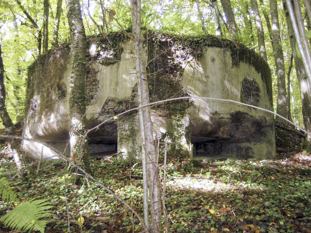 Ligne Maginot - BOIS DE VETRIGNE - (Observatoire d'artillerie) - 