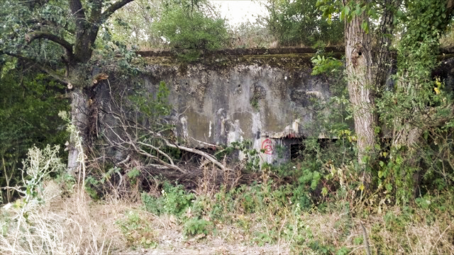 Ligne Maginot - 83 - SIERENTZ VOIE FERREE OUEST - (Casemate d'infanterie - Simple) - La casemate durant l'été 2015 avant le début des travaux