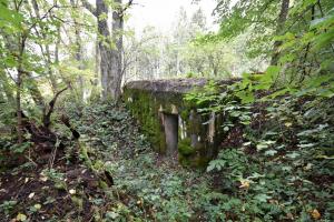 Ligne Maginot - WASENBERG 4 - (Blockhaus pour arme infanterie) - 