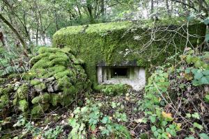 Ligne Maginot - WASENBERG 4 - (Blockhaus pour arme infanterie) - 