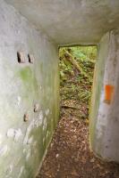 Ligne Maginot - WASENBERG 4 - (Blockhaus pour arme infanterie) - 