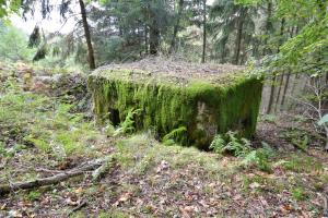 Ligne Maginot - WASENBERG 2 - (Blockhaus pour arme infanterie) - 