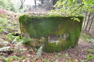 Ligne Maginot - WASENBERG 2 - (Blockhaus pour arme infanterie) - 