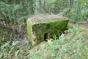 Ligne Maginot - WASENBERG 2 - (Blockhaus pour arme infanterie) - 