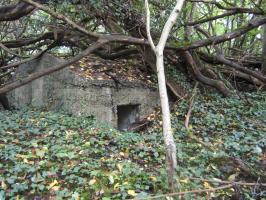 Ligne Maginot - FEIL 1 - (Blockhaus de type indeterminé) - 