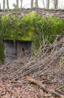 Ligne Maginot - WILLERHOF (BATTERIE DE) - (Position d'artillerie préparée) - Abri
Vue de la porte de droite