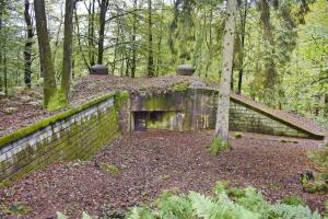 Ligne Maginot - BIESENBERG 5 - (Blockhaus pour arme infanterie) - Vue d'ensemble