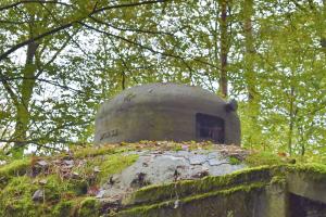 Ligne Maginot - BIESENBERG 5 - (Blockhaus pour arme infanterie) - Cloche GFM et son N°