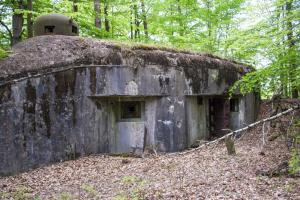 Ligne Maginot - BIESENBERG 6 - (Blockhaus pour arme infanterie) - Façade ouest