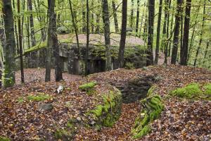 Ligne Maginot - BIESENBERG 6 - (Blockhaus pour arme infanterie) - Biesenberg 6 et la tranchée taillée dans le grès