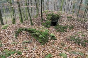 Ligne Maginot - Blockhaus BIESENBERG MF - 