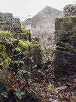 Ligne Maginot - VILLY 4 - MAISON MIART - (Blockhaus pour canon) - Entrée donnant vers le village