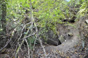 Ligne Maginot - 115 - RAEDERSDORF - (Casemate d'artillerie) - Le temps ravine les cotés et laisse apparaître le béton et les tôles.