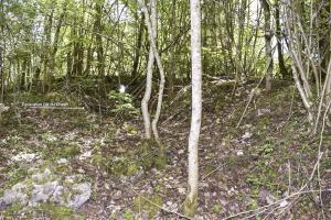 Ligne Maginot - GLASERBERG OUEST - (Position d'artillerie préparée) - 