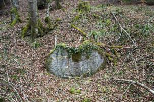 Ligne Maginot - NEUNEICH 6 - (Abri) - Mur du fond, le seul vestige