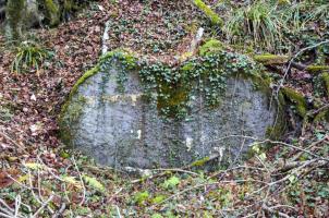 Ligne Maginot - NEUNEICH 6 - (Abri) - Mur du fond, le seul vestige