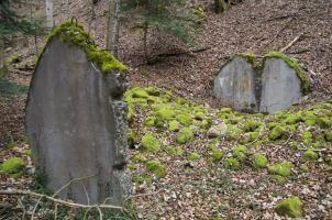 Ligne Maginot - NEUNEICH 3 - (Abri) - 