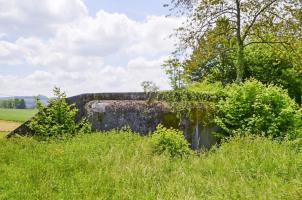 Ligne Maginot - PFAFFENLOCH NORD EST - (Blockhaus pour arme infanterie) - 