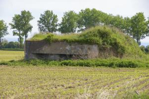 Ligne Maginot - Vue extérieure nord - Vue de l'abri en venant du village de Bantzenheim