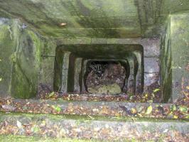 Ligne Maginot - 56/3 - RUMERSHEIM NORD - (Casemate d'infanterie - Double) - La casemate est explosée.
Ce créneau est dirigé vers le ciel.