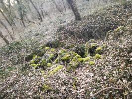 Ligne Maginot - BLODELSHEIM OUEST 2 - (Blockhaus de type indéterminé) - Ruines