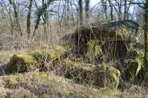 Ligne Maginot - CARREFOUR 224 NORD - (Blockhaus pour arme infanterie) - Façade nord avec l'entrée matériels. Une partie du toit effondré est visible à gauche