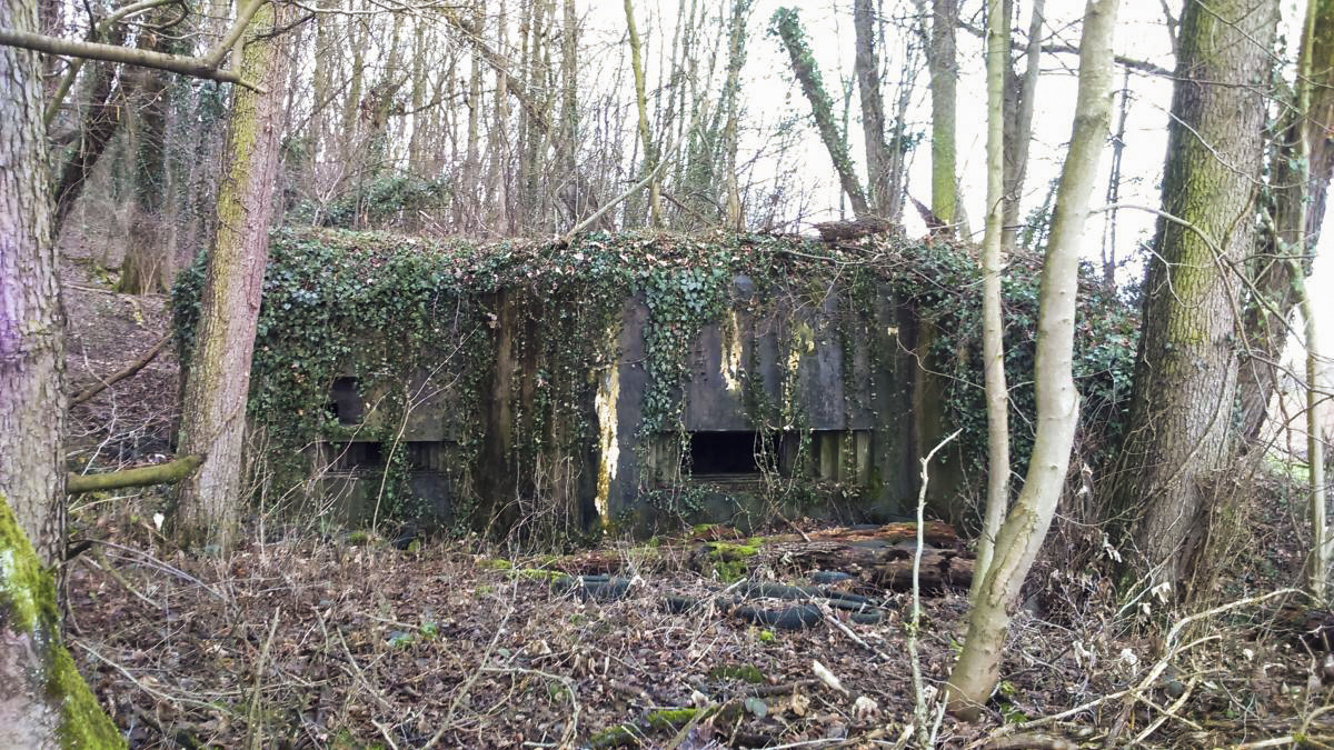 Ligne Maginot - E686 - HESINGUE NORD 3 - (Blockhaus pour canon) - Vue extérieure, ouverture en direction du Sud-Est (Hésingue centre/Allemagne)