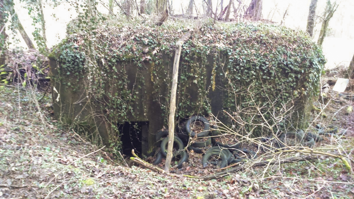 Ligne Maginot - E686 - HESINGUE NORD 3 - (Blockhaus pour canon) - Entrée côté Ouest (la seule)