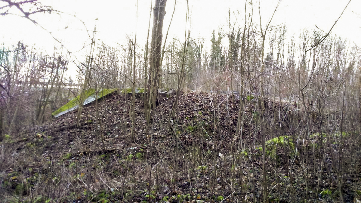 Ligne Maginot - E687 - HESINGUE NORD 2 - (Blockhaus pour canon) - En contrebas, côté ouest