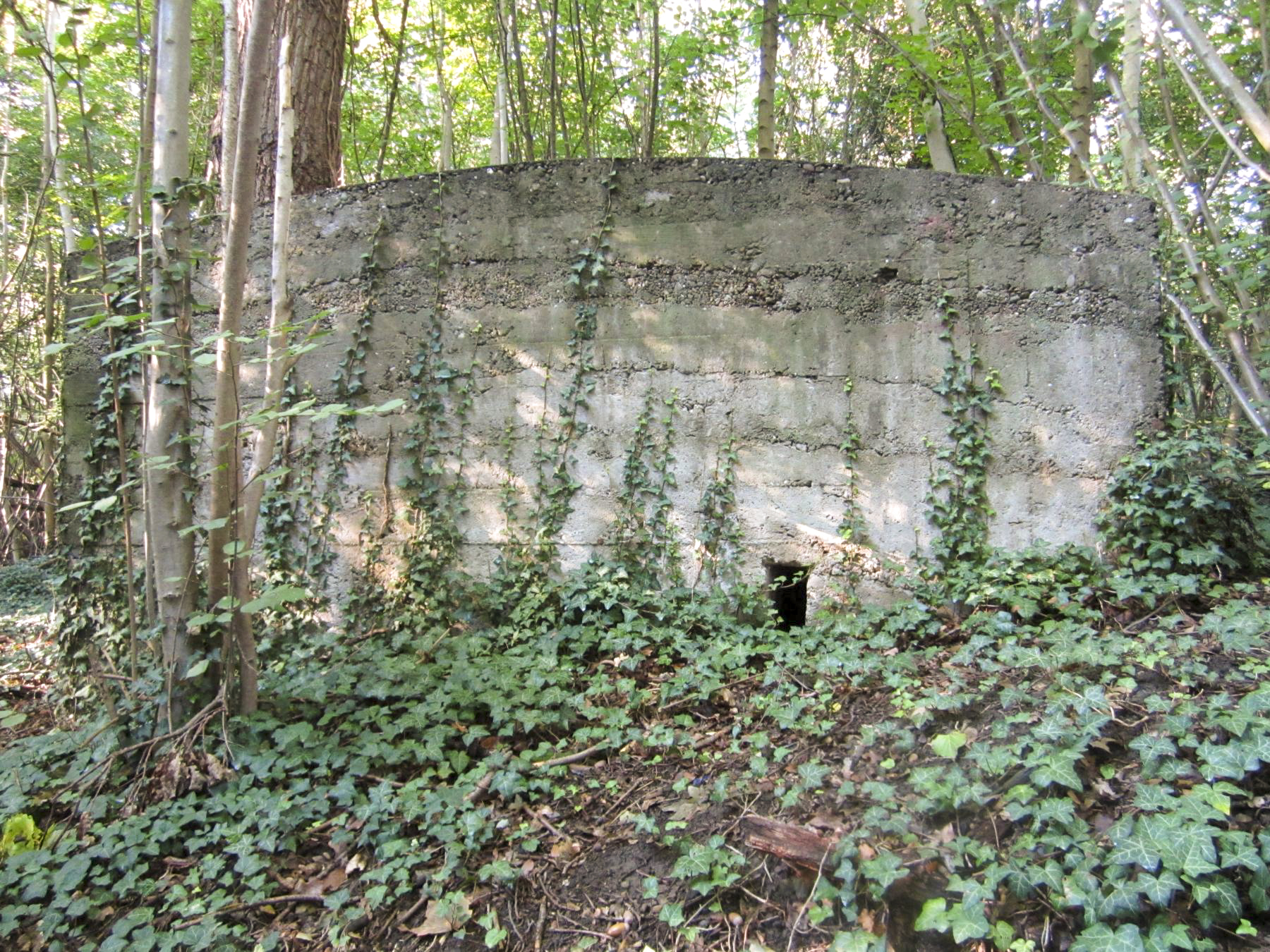 Ligne Maginot - FEIL 2 - (Blockhaus de type indeterminé) - 