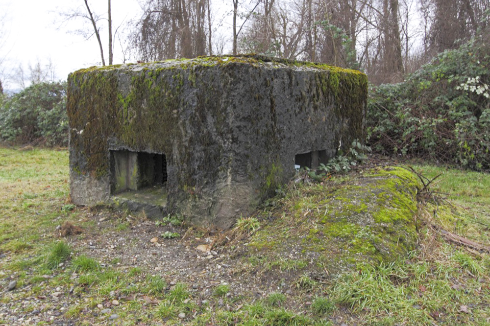 Ligne Maginot - VILLAGE-NEUF BERGE 3 - (Blockhaus pour arme infanterie) - 