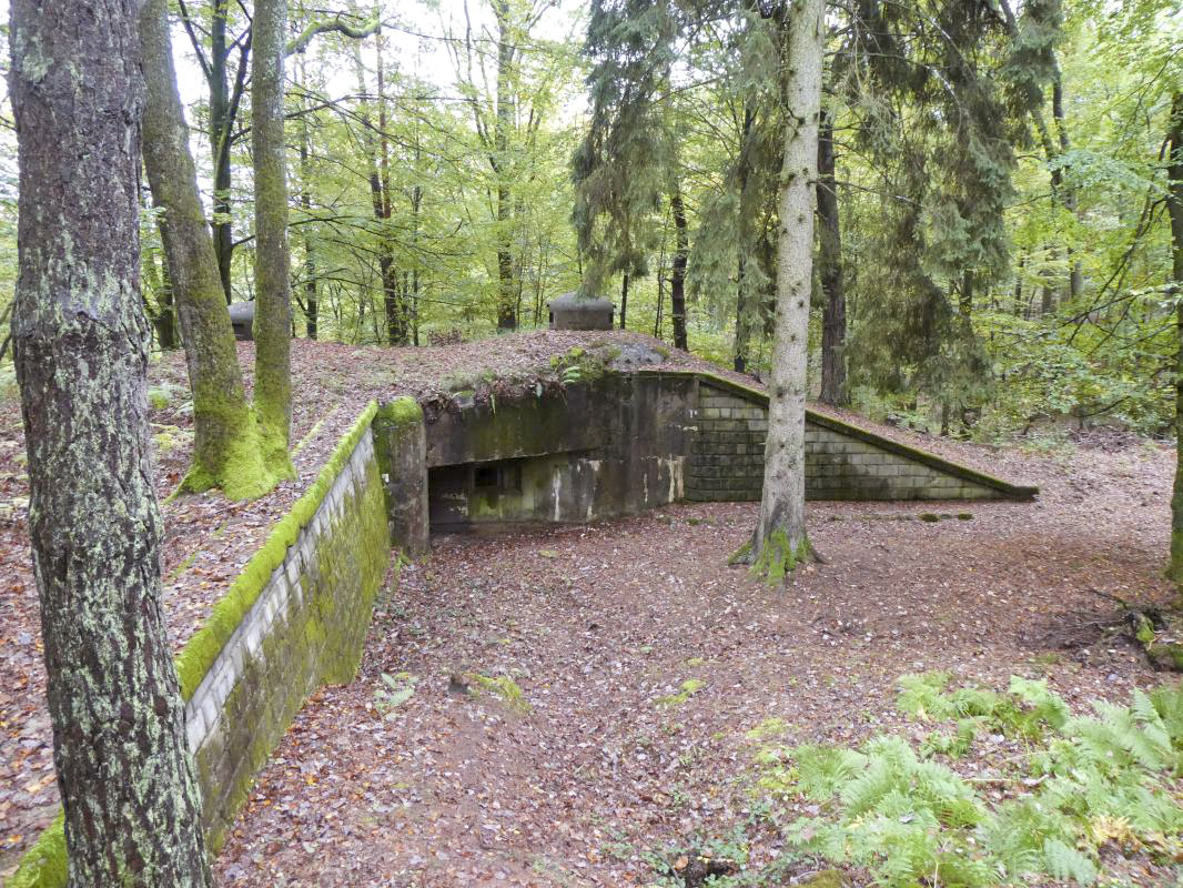 Ligne Maginot - BIESENBERG 5 - (Blockhaus pour arme infanterie) - 