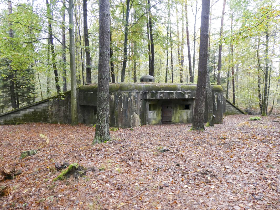 Ligne Maginot - BIESENBERG 7 - (Blockhaus pour arme infanterie) - 