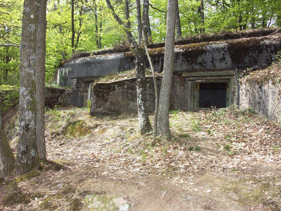 Ligne Maginot - Casemate d'artillerie du BIESENBERG - Vue d'ensemble