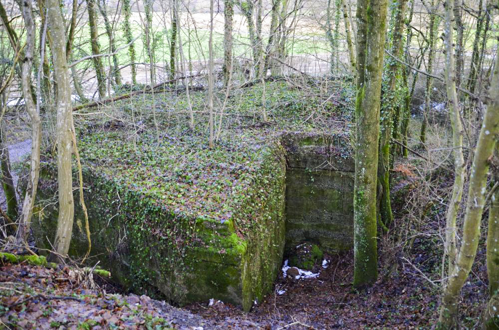 Ligne Maginot - HUTTINGUE EST - (Blockhaus pour canon) - Vue sur la façade Ouest avec l'entrée du canon au bas du ravin.