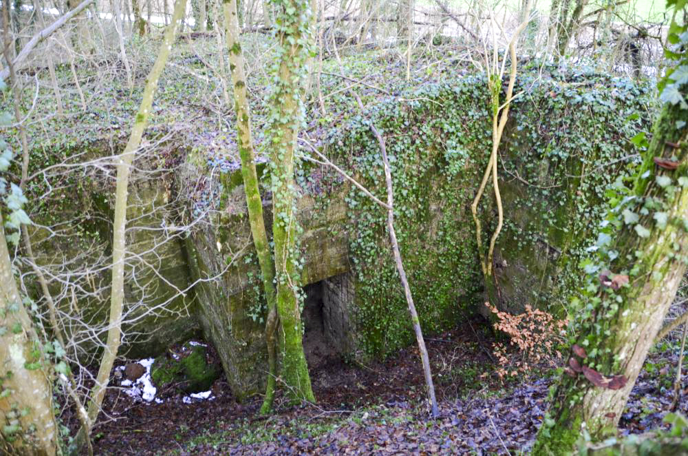 Ligne Maginot - HUTTINGUE EST - (Blockhaus pour canon) - Façade Sud avec l'entrée des hommes.