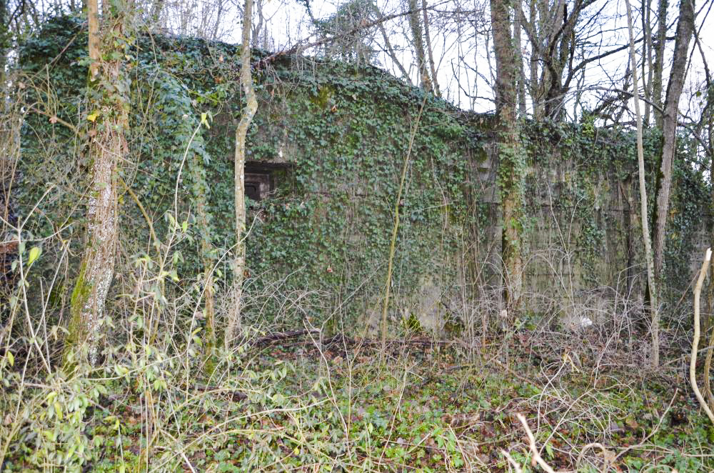 Ligne Maginot - HUTTINGUE EST - (Blockhaus pour canon) - Façade est, avec un créneau de tir FM donnant vers Oltingue.